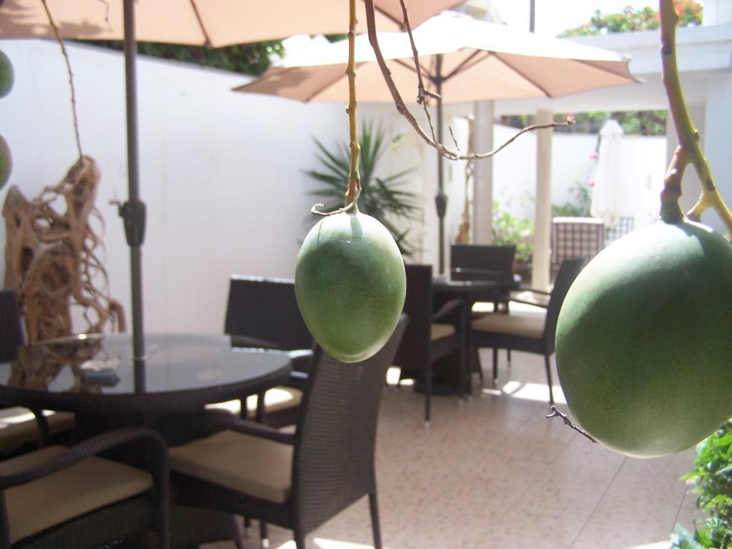 Villa Mermoz Dakar Exterior foto
